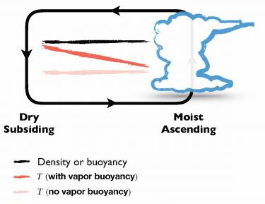 This graphic illustrates the vapor buoyancy effect, in which cold, humid air rises because it is lighter than dry air. (Da Yang/UC Davis)