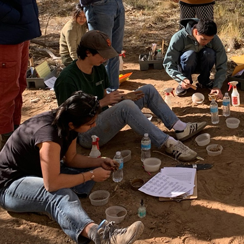 Soil judging team