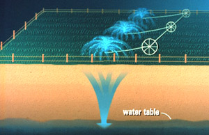 Water table