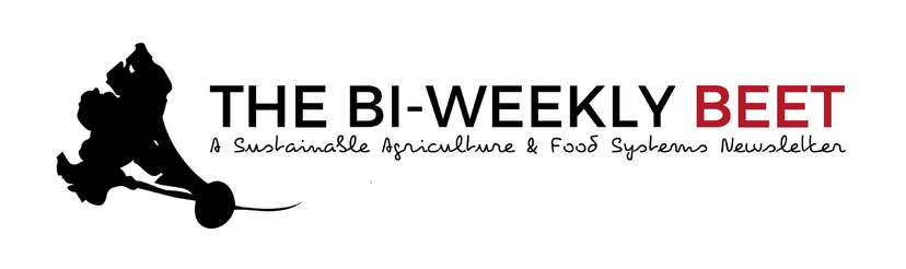 The Bi-Weekly Beet